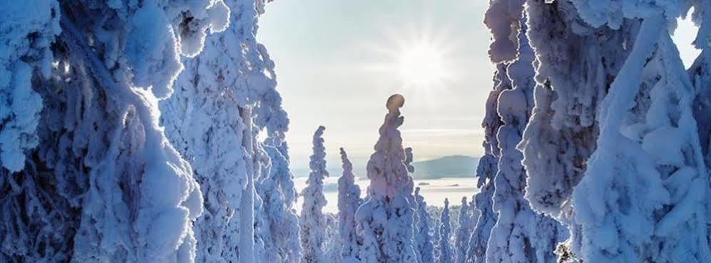 Suomu Chalets Suomutunturi Eksteriør billede