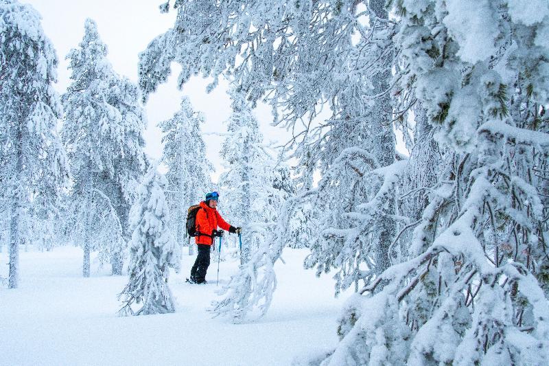 Suomu Chalets Suomutunturi Eksteriør billede